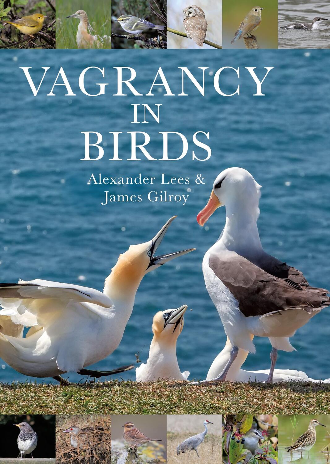 Cover: 9781472964786 | Vagrancy in Birds | Dr Alexander Lees (u. a.) | Buch | Gebunden | 2021