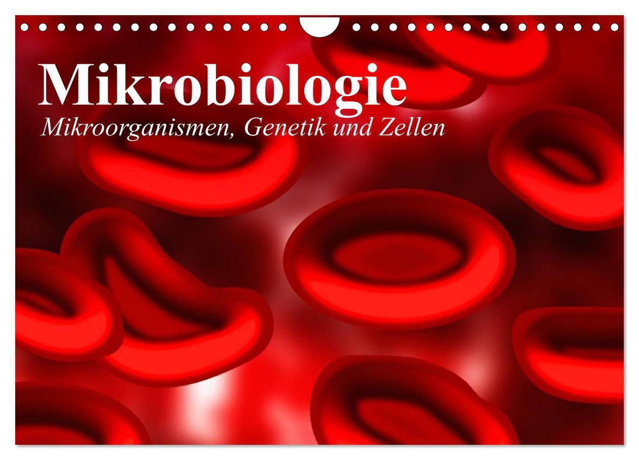 Cover: 9783675694330 | Mikrobiologie. Mikroorganismen, Genetik und Zellen (Wandkalender...