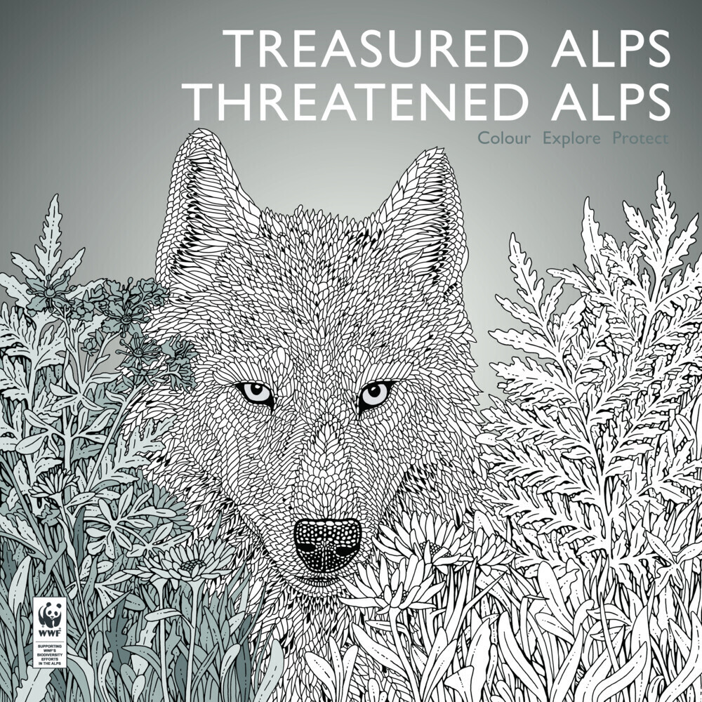 Cover: 9783038690276 | Treasured Alps, Threatened Alps | Colour, Explore, Protect. Malbuch