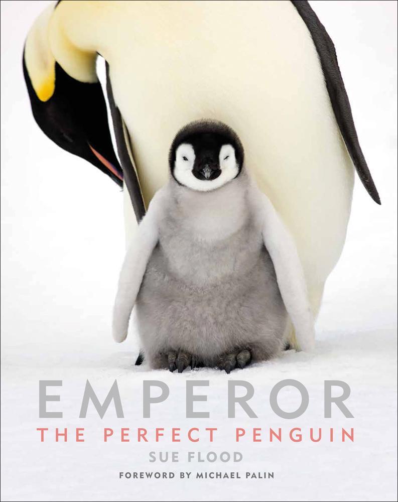Cover: 9781851499021 | Emperor | The Perfect Penguin | Sue Flood | Buch | Englisch | 2018