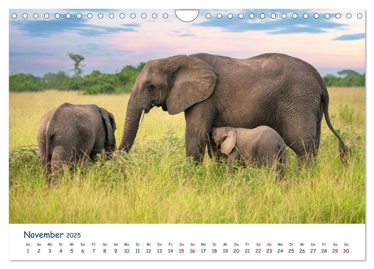 Bild: 9783435002610 | Fernweh Uganda - Naturschönheit Ostafrikas (Wandkalender 2025 DIN...