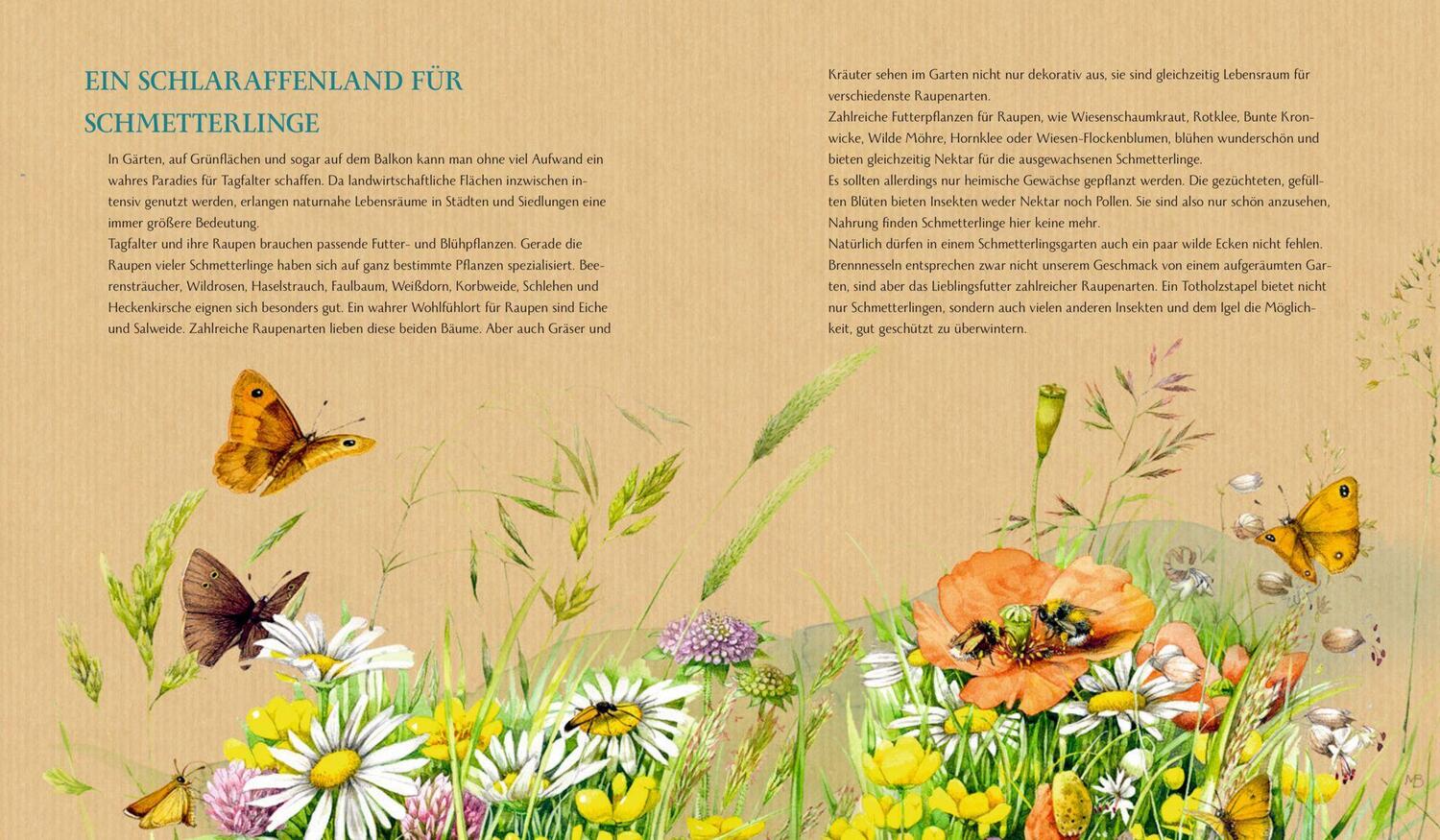 Bild: 9783649644736 | Schmetterling, Hummel und Maikäfer | Stefanie Zysk | Buch | 144 S.