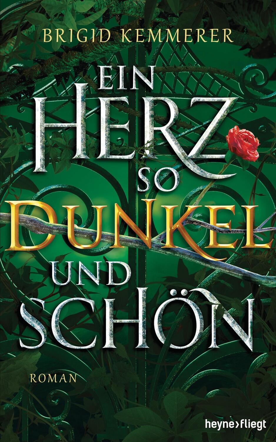 Cover: 9783453272538 | Ein Herz so dunkel und schön | Roman | Brigid Kemmerer | Buch | 544 S.