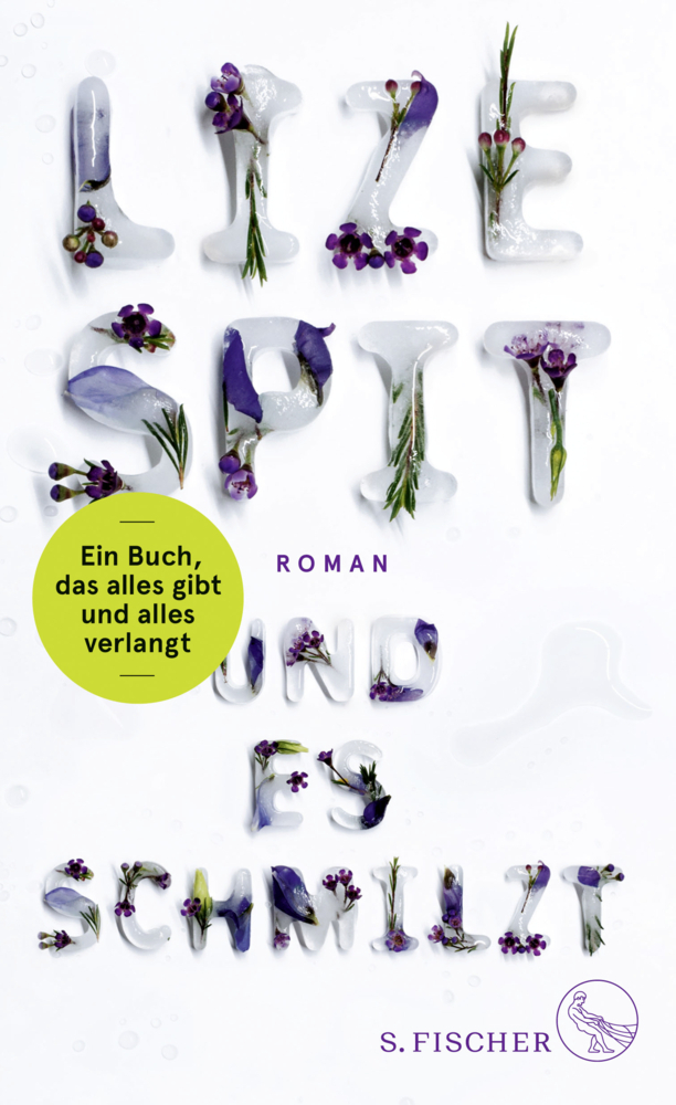 Cover: 9783103972825 | Und es schmilzt | Roman | Lize Spit | Buch | 512 S. | Deutsch | 2017