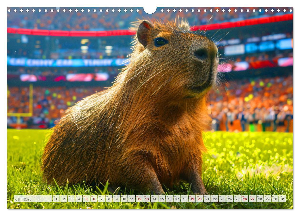 Bild: 9783457163955 | Capybaras im Alltag - Ein Jahr voller Abenteuer (Wandkalender 2025...