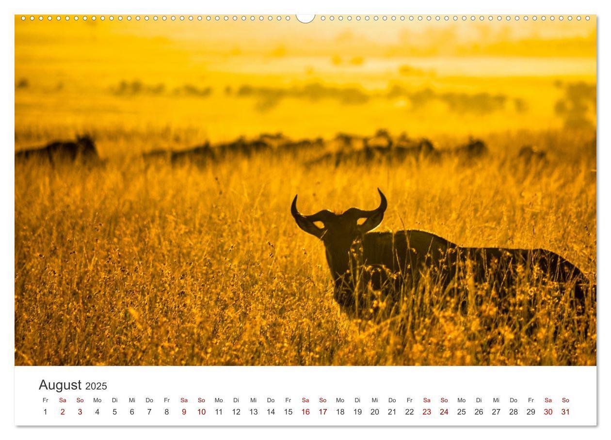 Bild: 9783435002313 | Kenia - Eine Safari durch unberührte Natur. (Wandkalender 2025 DIN...