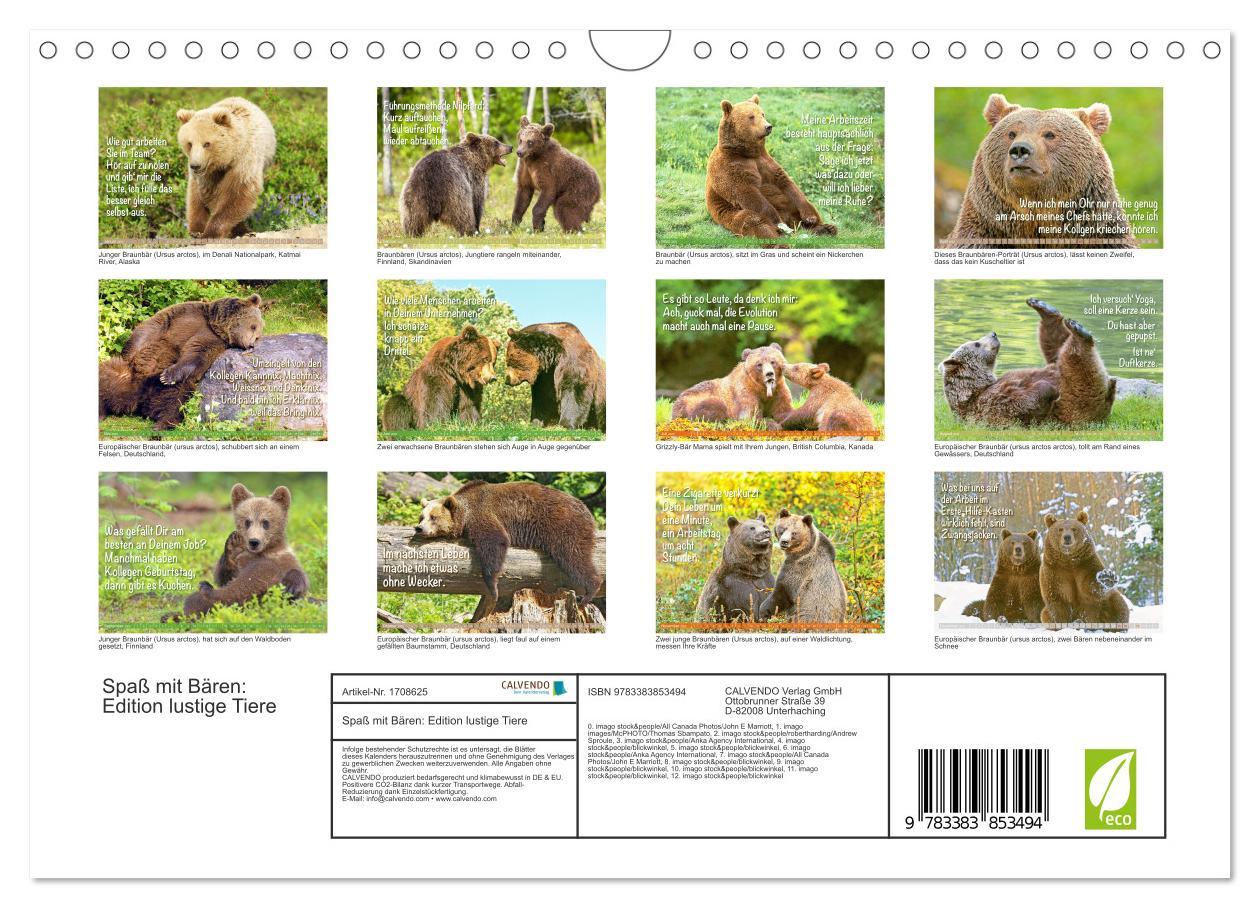 Bild: 9783383853494 | Spaß mit Bären: Edition lustige Tiere (Wandkalender 2025 DIN A4...