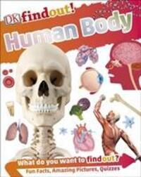 Cover: 9780241285077 | DKfindout! Human Body | DK | Taschenbuch | DK find out! | Englisch