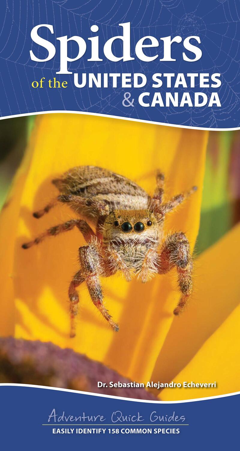 Cover: 9781647553463 | Spiders of the United States | A Guide to Common Species | Echeverri