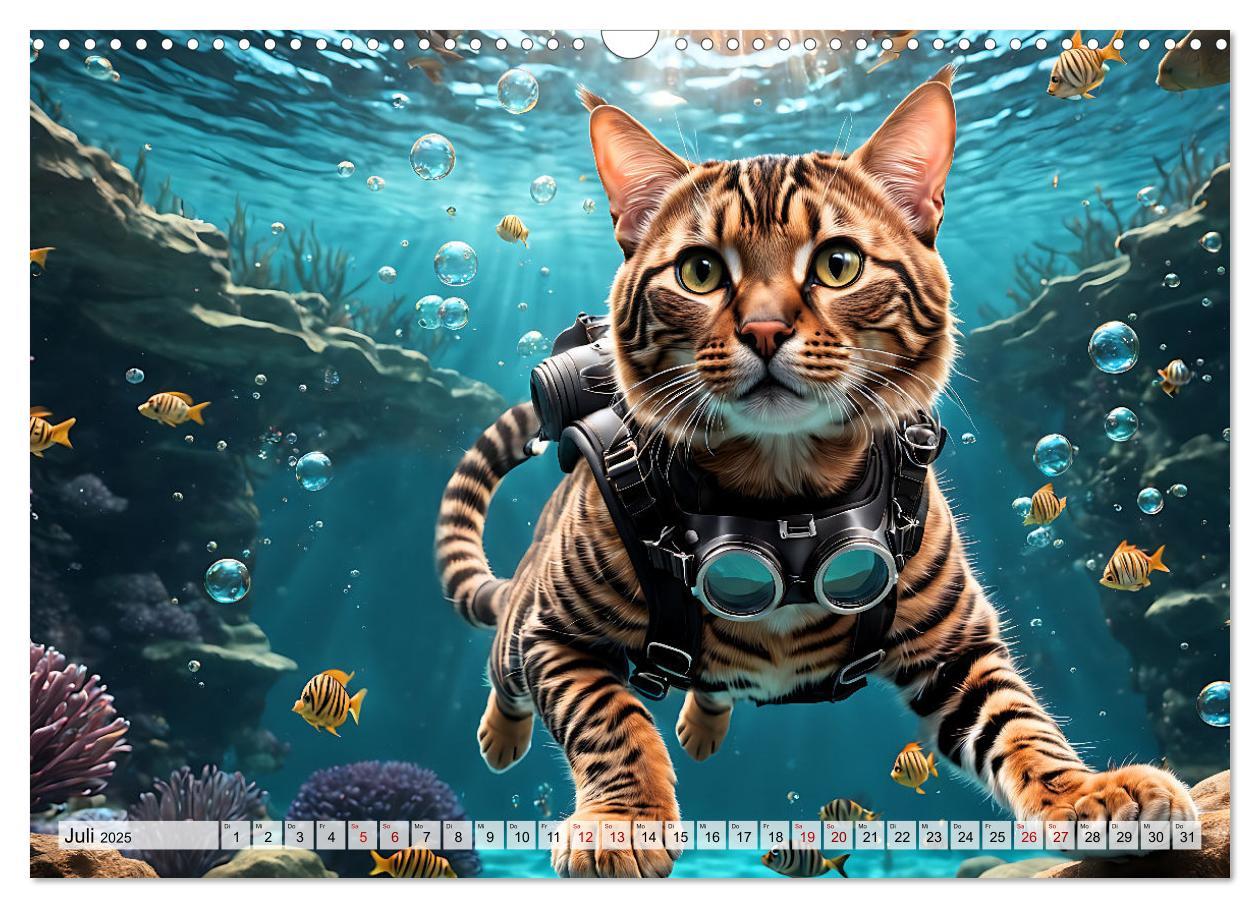 Bild: 9783383842542 | Katzen unter Wasser (Wandkalender 2025 DIN A3 quer), CALVENDO...