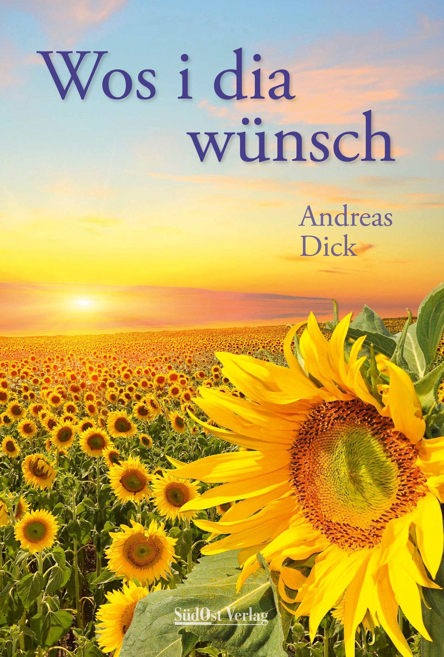 Cover: 9783955877620 | Wos i dia wünsch | Andreas Dick | Buch | 120 S. | Deutsch | 2020