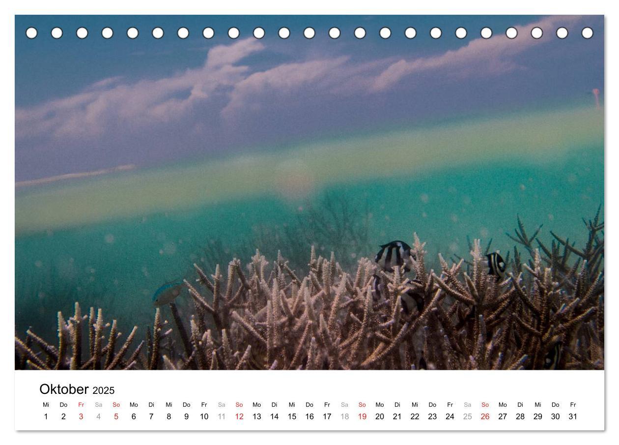 Bild: 9783435808144 | Unterwasserwelt der Malediven I (Tischkalender 2025 DIN A5 quer),...