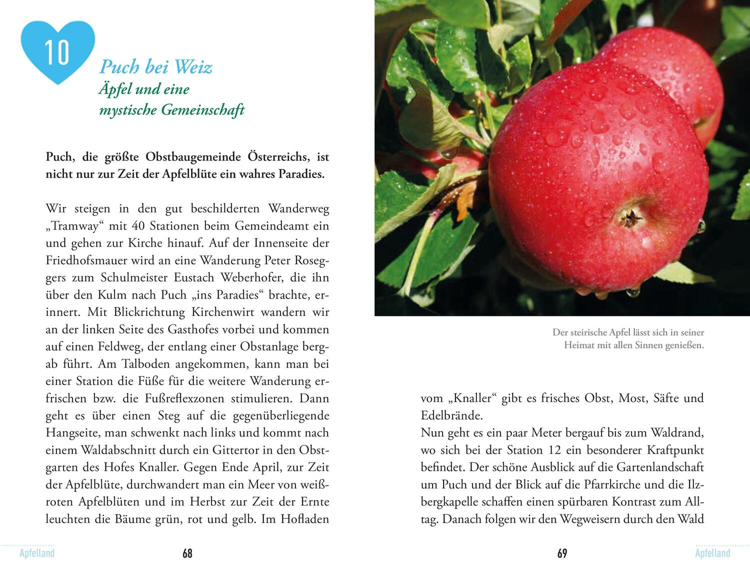 Bild: 9783702510503 | Gehmütliche Steiermark | Alois Pötz (u. a.) | Taschenbuch | 264 S.