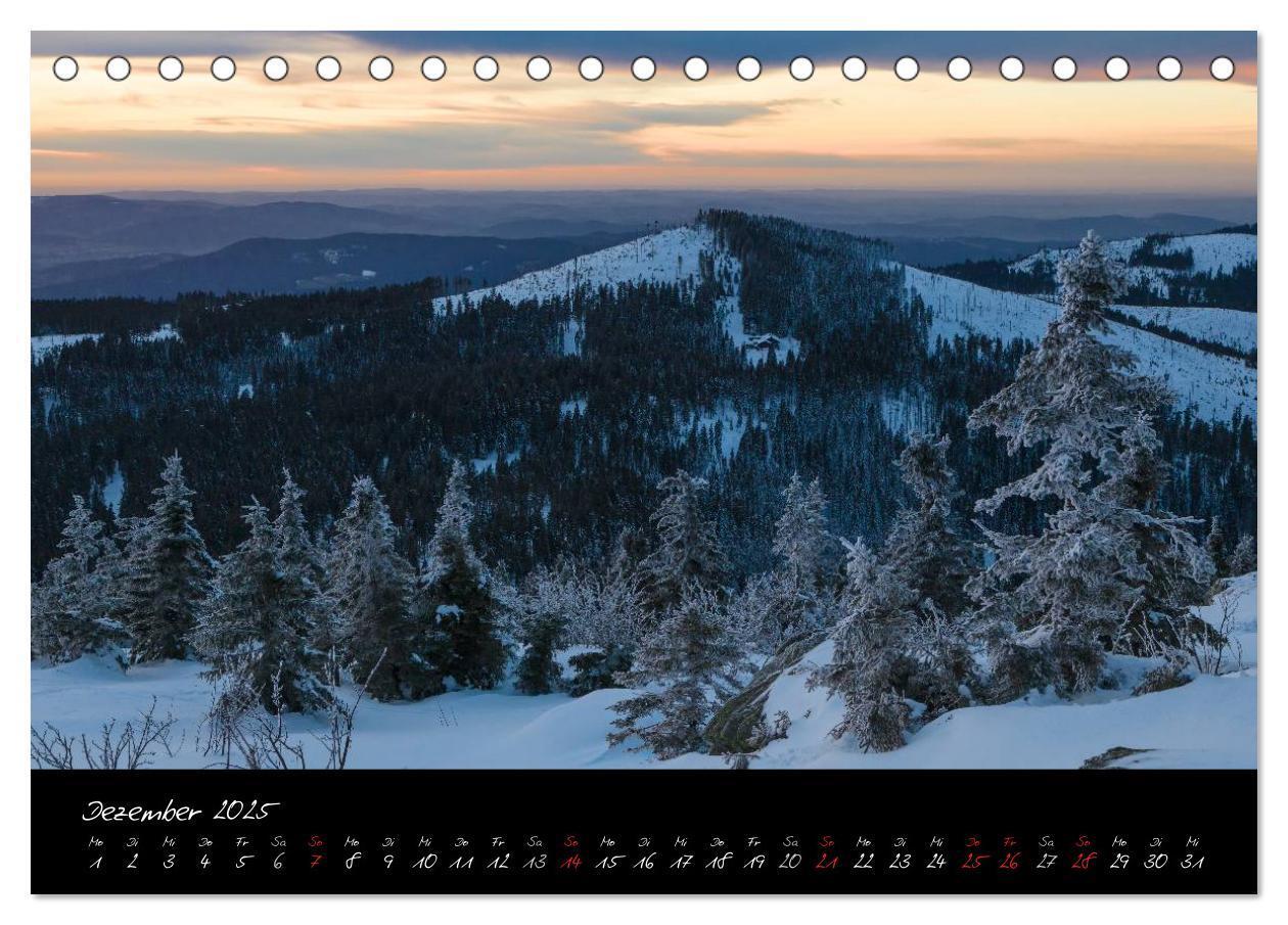 Bild: 9783435809493 | Bayerischer Wald (Tischkalender 2025 DIN A5 quer), CALVENDO...