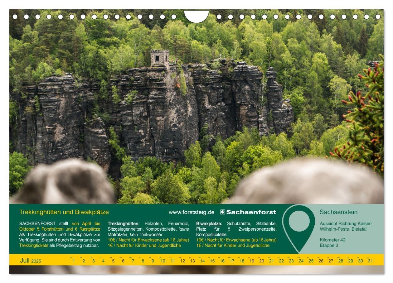 Bild: 9783383919145 | Erlebnis Forststeig Elbsandstein (Wandkalender 2025 DIN A4 quer),...