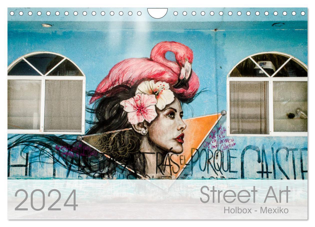 Cover: 9783675632004 | Street Art - Holbox, Mexico (Wandkalender 2024 DIN A4 quer),...