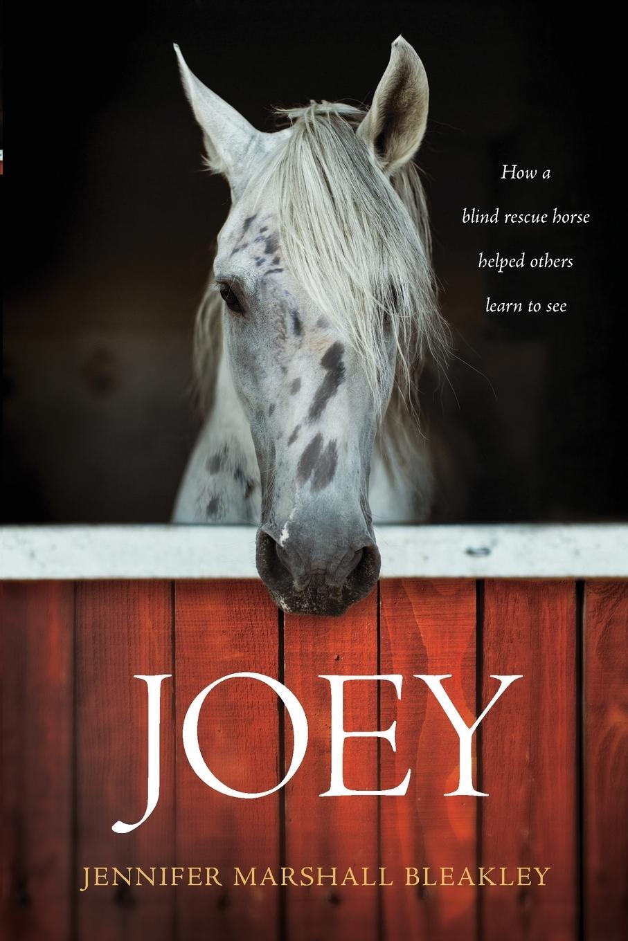 Cover: 9781496421753 | Joey | Jennifer Marshall Bleakley | Taschenbuch | Paperback | Englisch