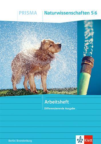 Cover: 9783120690429 | PRISMA Naturwissenschaften 5/6. Arbeitsheft Klasse 5/6....