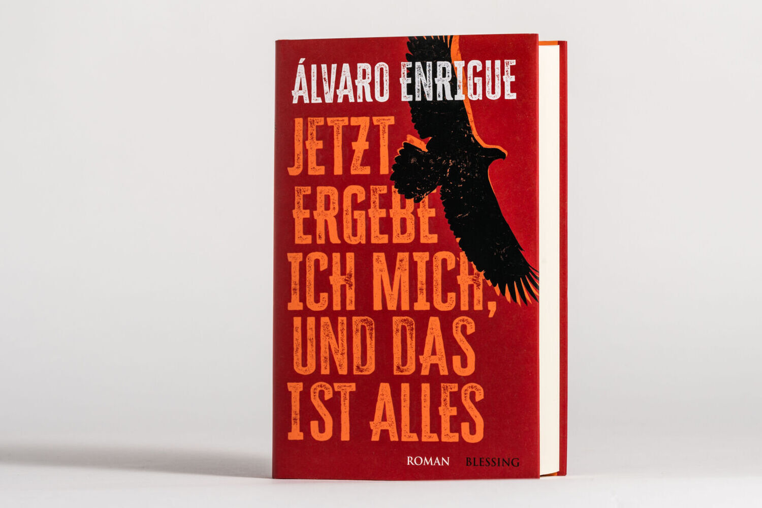 Bild: 9783896676597 | Jetzt ergebe ich mich, und das ist alles | Roman | Álvaro Enrigue