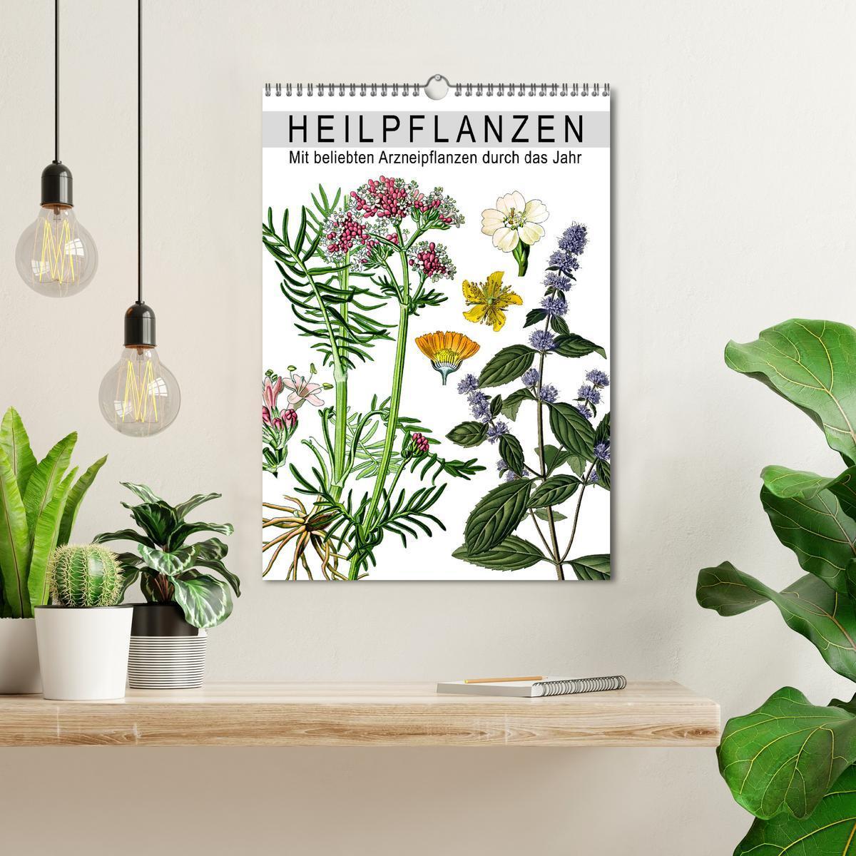 Bild: 9783457059012 | Heilpflanzen (Wandkalender 2025 DIN A3 hoch), CALVENDO Monatskalender