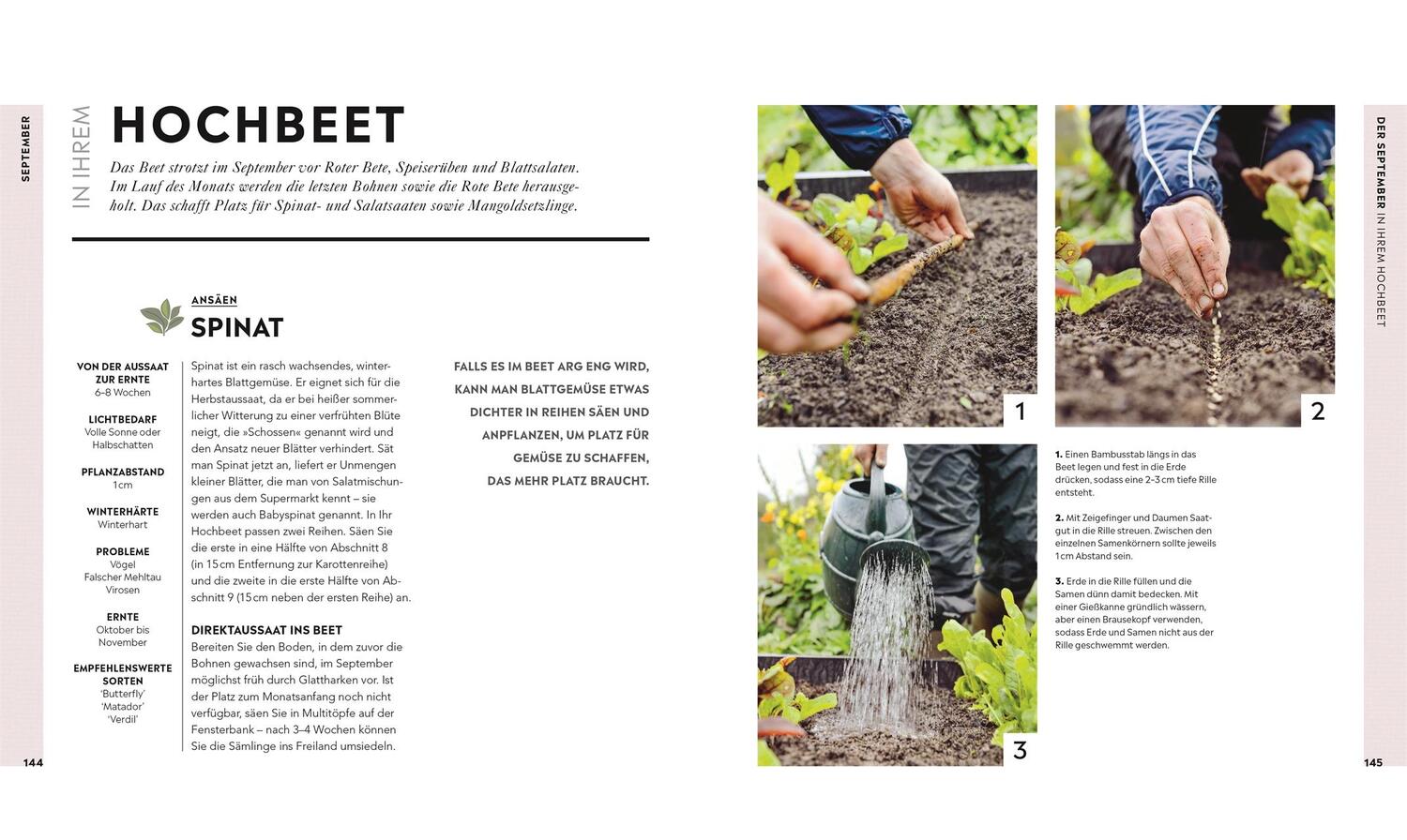 Bild: 9783831039005 | Hochbeet | Frisches Gemüse das ganze Jahr | Huw Richards | Buch | 2020