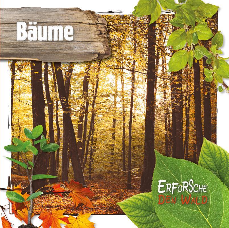Cover: 9789463415705 | Bäume | Erforsche den Wald | Robin Twiddy | Buch | Deutsch | 2020