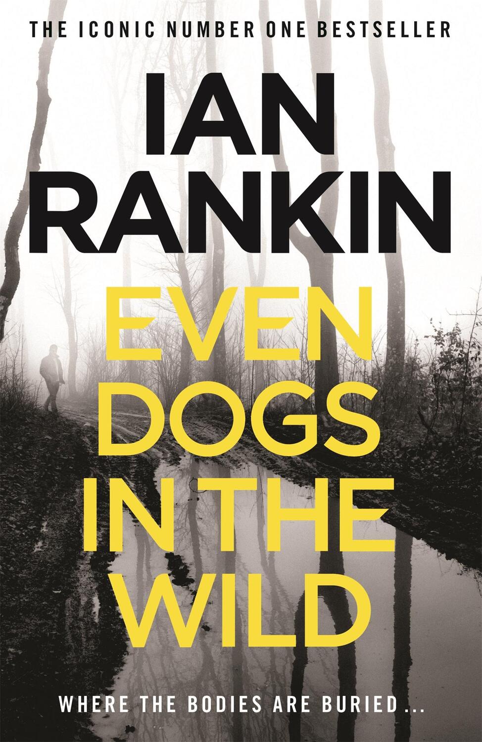 Cover: 9781409159384 | Even Dogs in the Wild | Ian Rankin | Taschenbuch | 416 S. | Englisch
