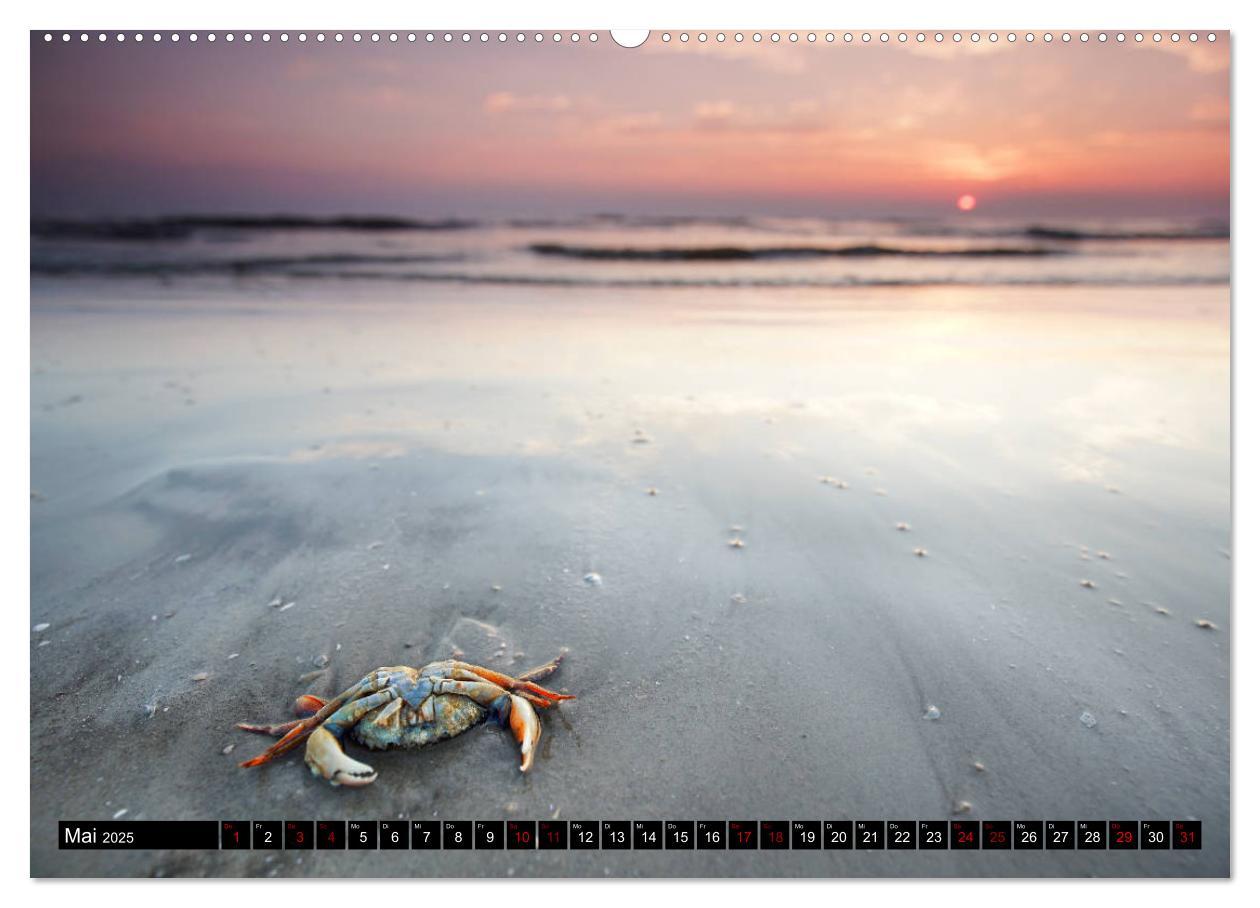 Bild: 9783435218455 | Sankt Peter Ording Sandstrand (Wandkalender 2025 DIN A2 quer),...