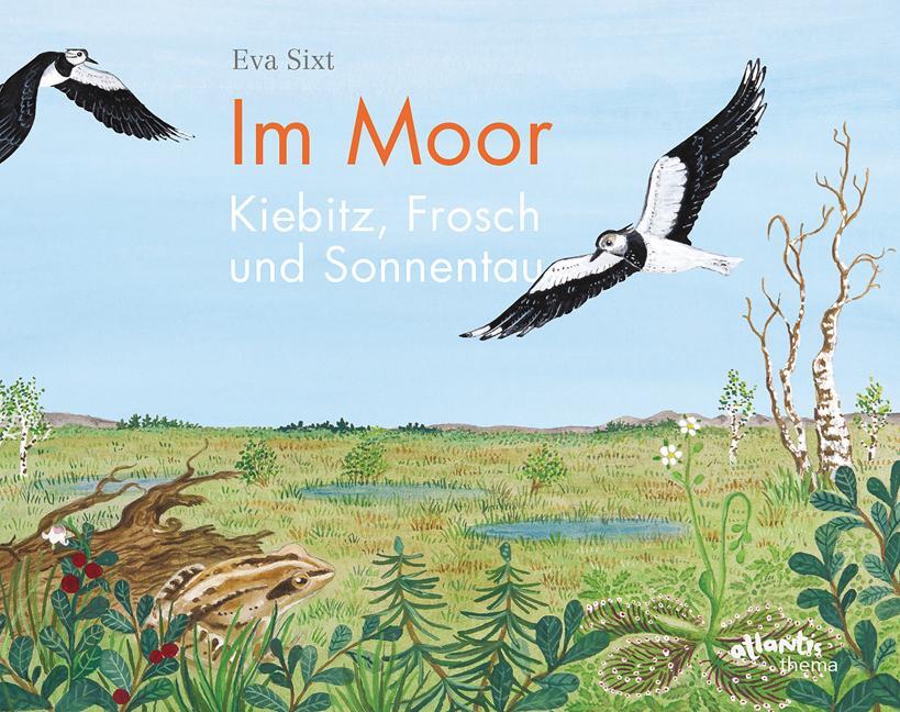 Cover: 9783715207841 | Im Moor - Kiebitz, Frosch und Sonnentau | Eva Sixt | Buch | Deutsch