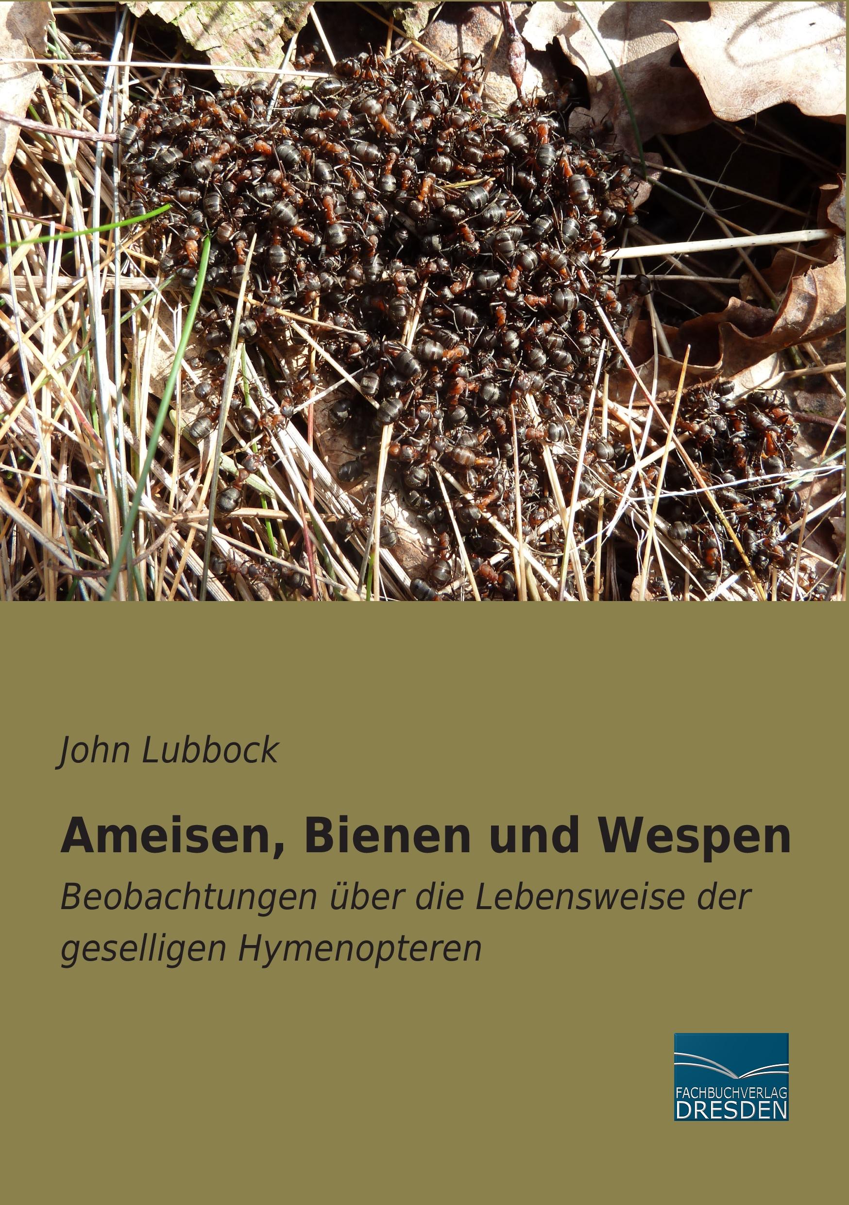 Cover: 9783956920653 | Ameisen, Bienen und Wespen | John Lubbock | Taschenbuch | Paperback