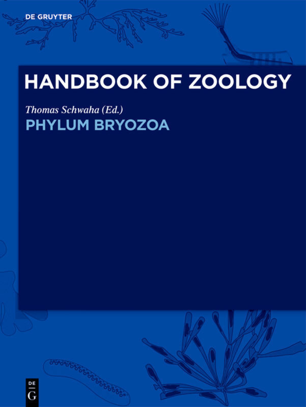 Cover: 9783110585407 | Phylum Bryozoa | Andreas Schmidt-Rhaesa (u. a.) | Buch | Englisch