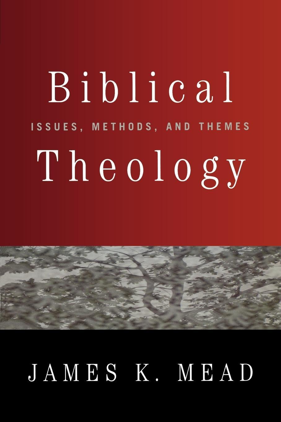 Cover: 9780664229726 | Biblical Theology | Issues, Methods, and Themes | James K. Mead | Buch