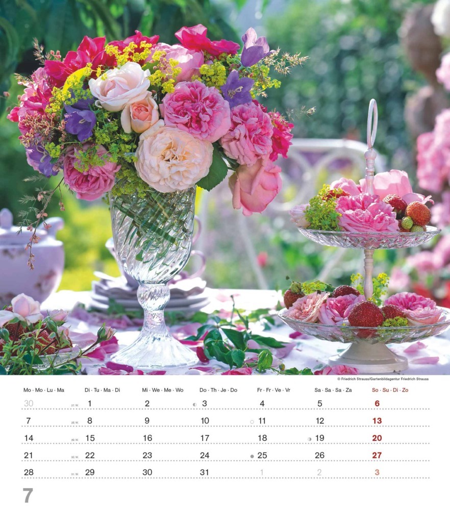 Bild: 4251732342135 | Alpha Edition - Der Duft der Rosen 2025 Bildkalender, 30,x34cm,...