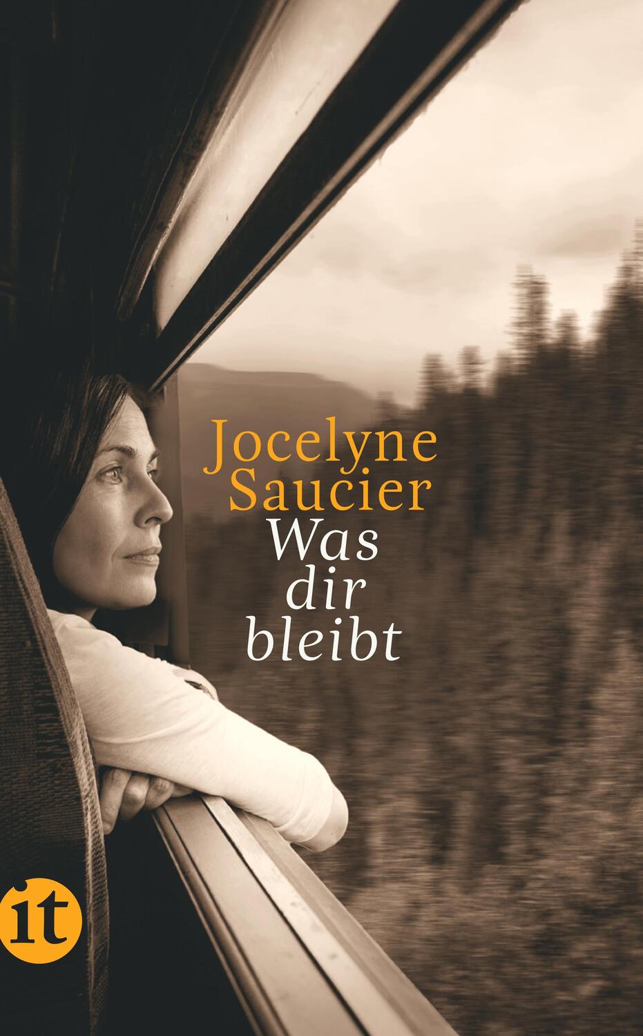 Cover: 9783458681762 | Was dir bleibt | Roman | Jocelyne Saucier | Taschenbuch | Deutsch