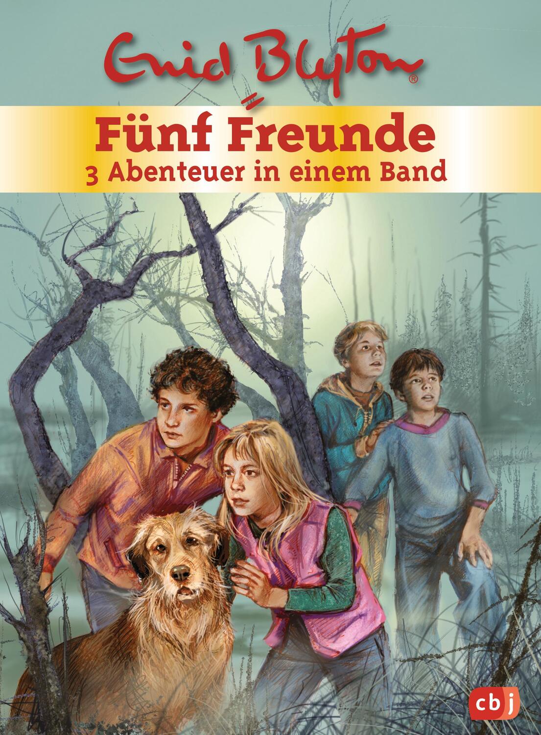 Cover: 9783570157886 | Fünf Freunde. Sammelband 01 | 3 Abenteuer in einem Band | Enid Blyton