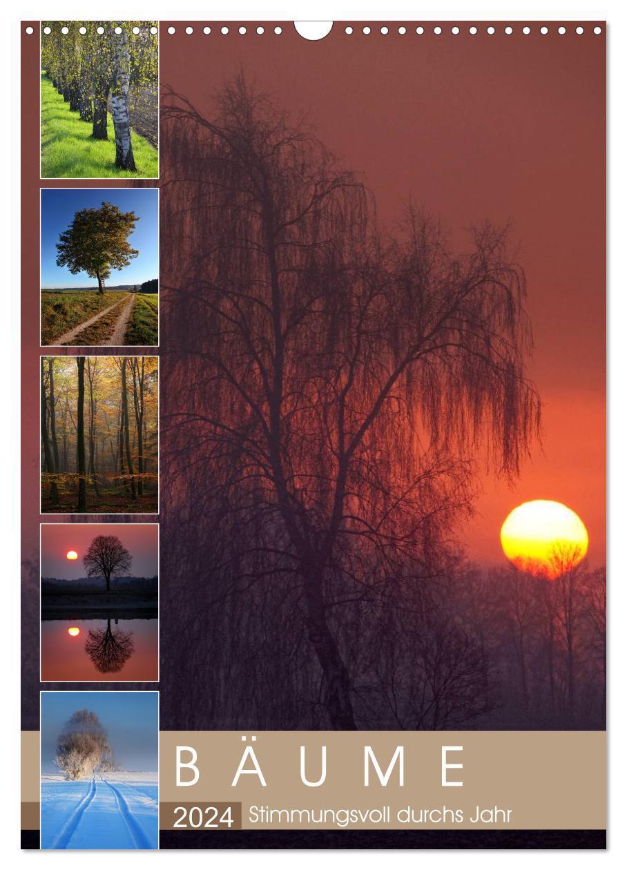 Cover: 9783383505331 | Bäume - Stimmungsvoll durchs Jahr (Wandkalender 2024 DIN A3 hoch),...