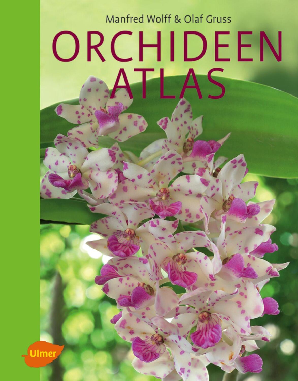Orchideenatlas - Wolff, Manfred