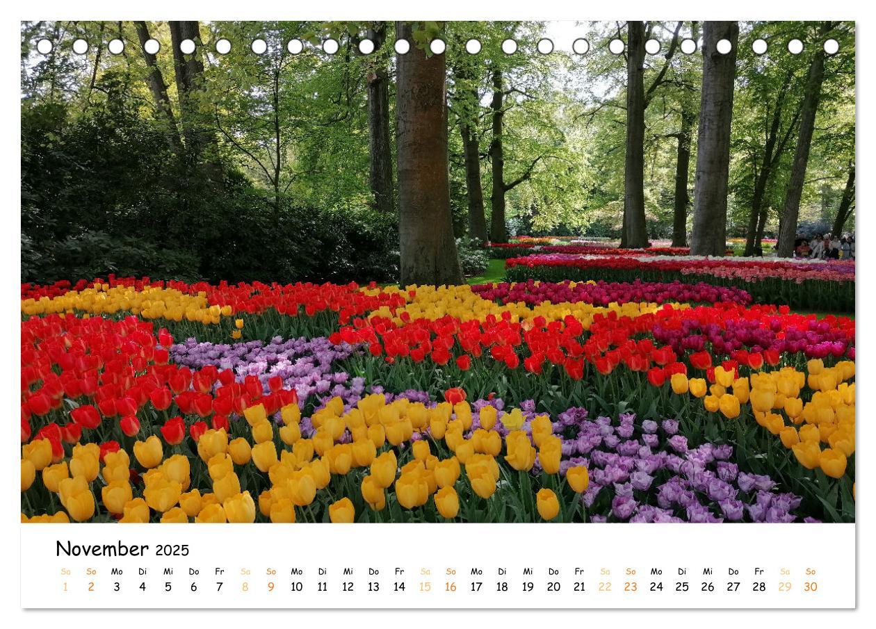 Bild: 9783383923623 | Auf Tour im Land der Tulpen (Tischkalender 2025 DIN A5 quer),...