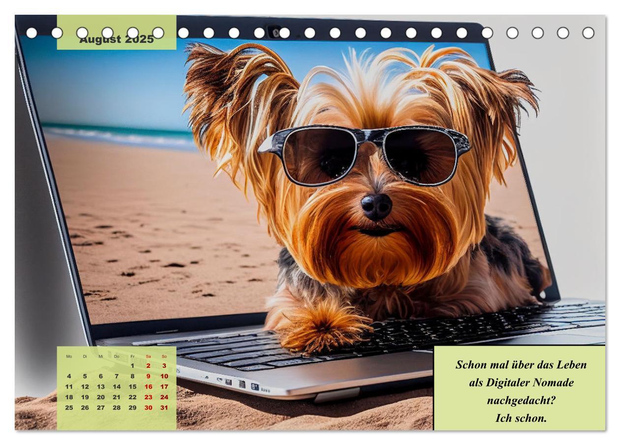 Bild: 9783383876707 | Der humoristische Yorkshire Terrier Kalender (Tischkalender 2025...