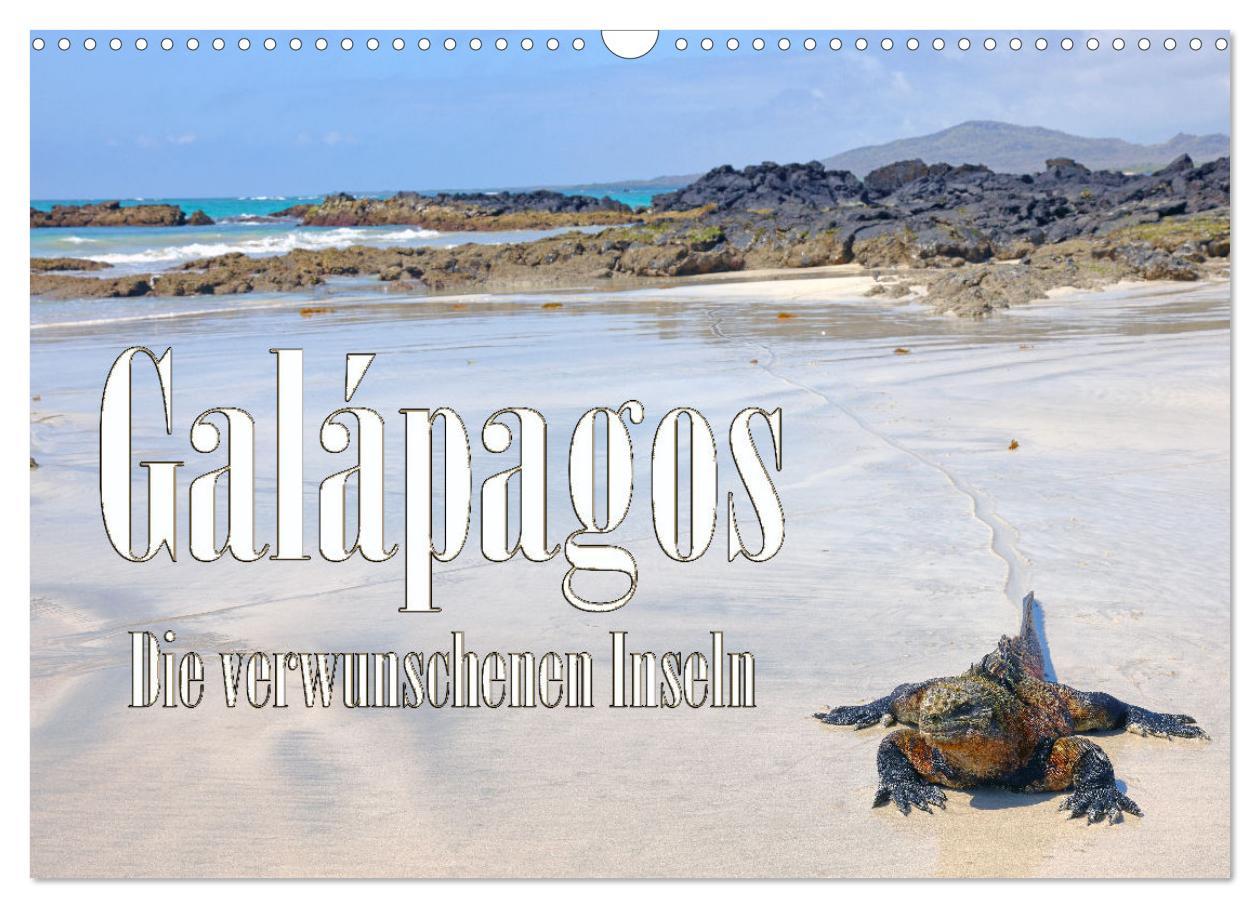 Cover: 9783383906732 | Galápagos - Die verwunschenen Inseln (Wandkalender 2025 DIN A3...