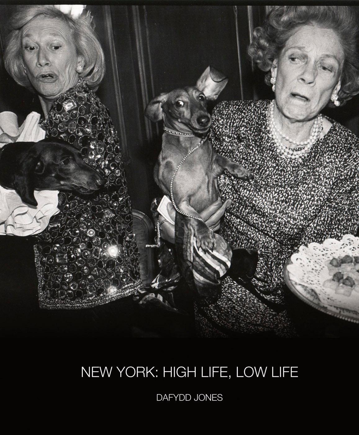 Cover: 9781788842556 | New York: High Life / Low Life | Buch | 120 S. | Englisch | 2024
