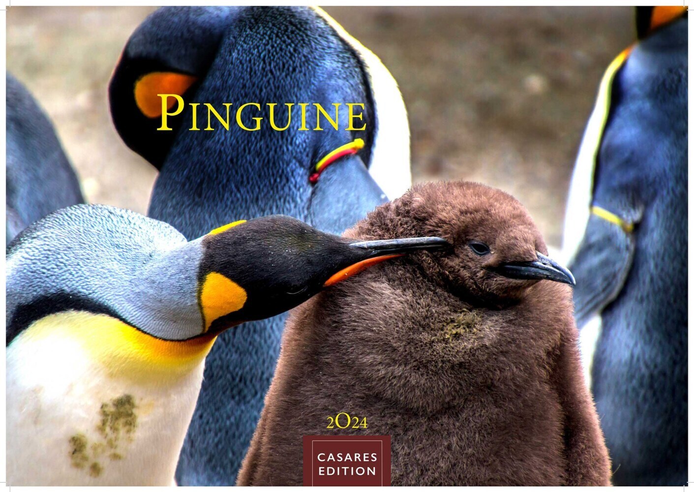 Cover: 9789918618767 | Pinguine 2024 S 24x35cm | Kalender | 14 S. | Deutsch | 2024