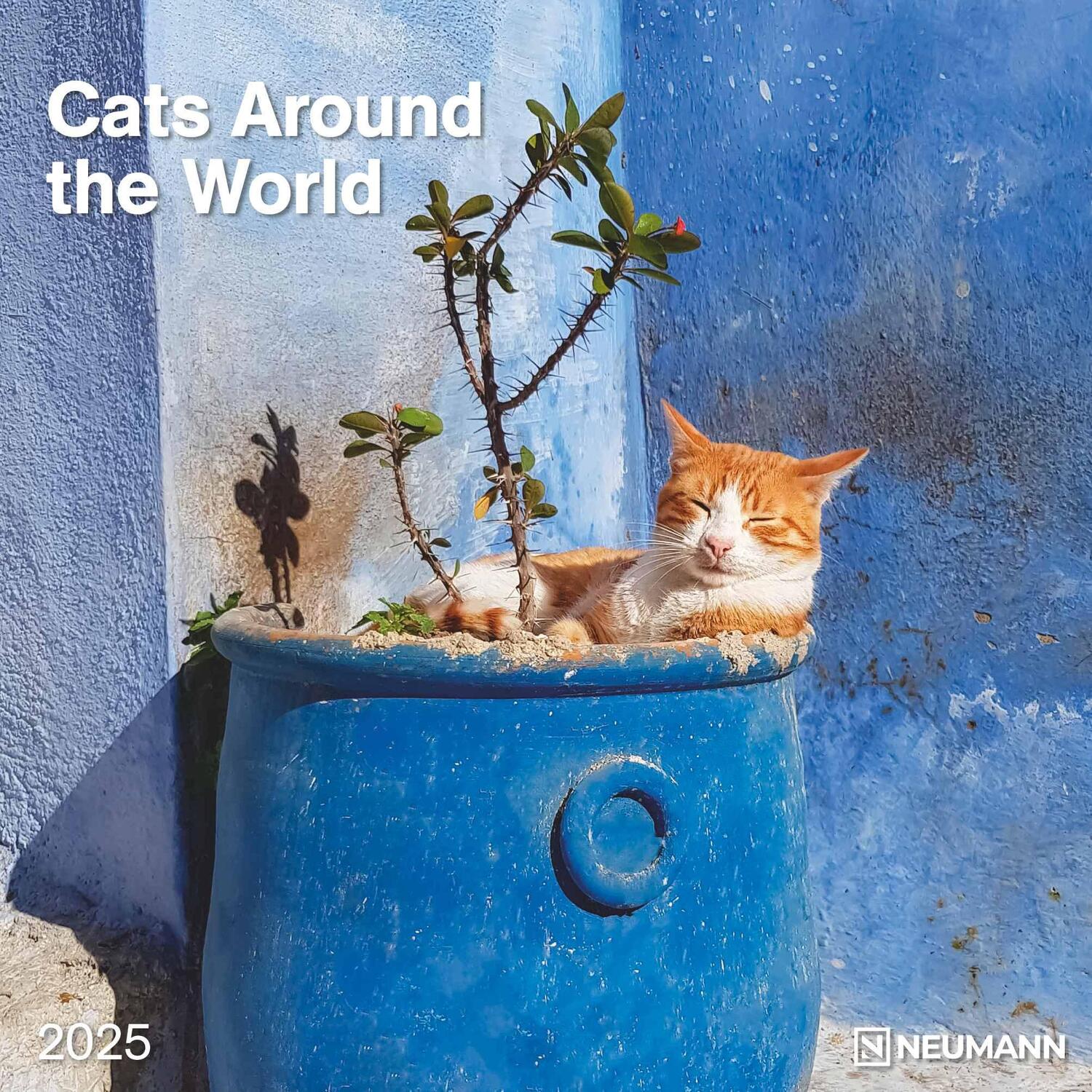 Cover: 4002725987945 | Cats Around the World 2025 - Wand-Kalender - Broschüren-Kalender -...
