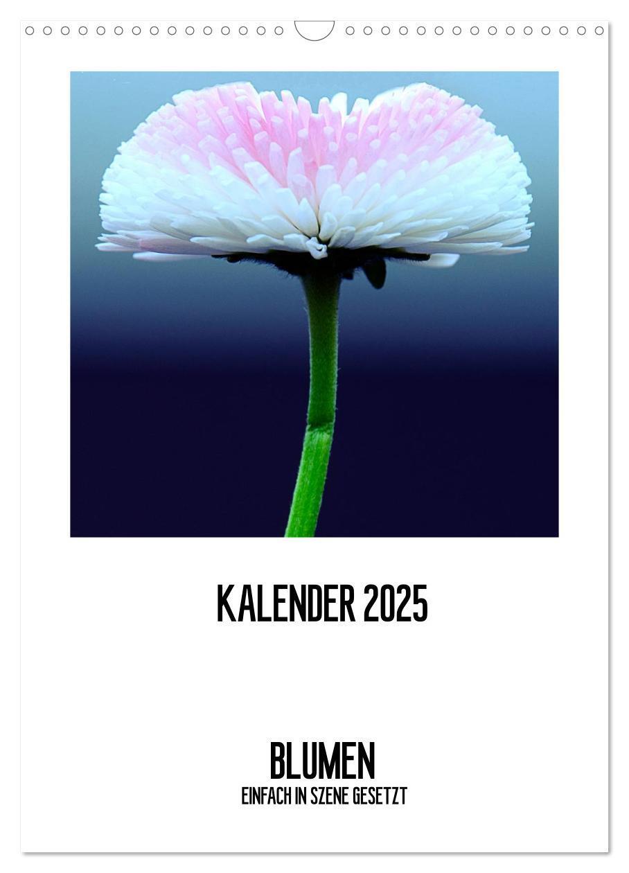 Cover: 9783457079539 | BLUMEN EINFACH IN SZENE GESETZT (Wandkalender 2025 DIN A3 hoch),...