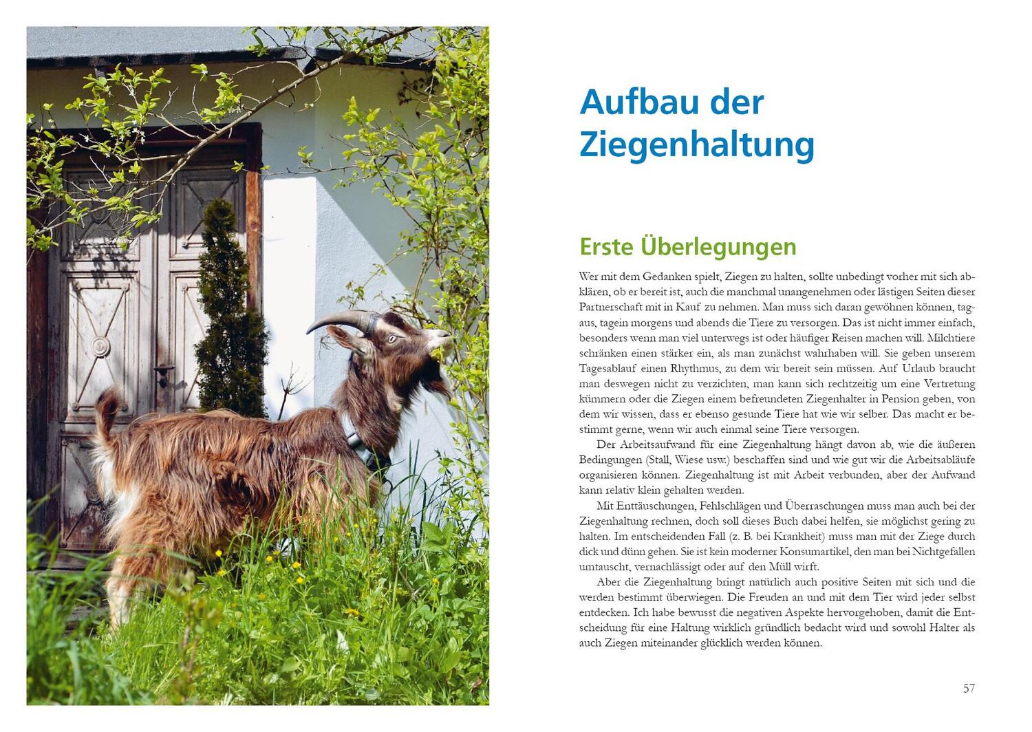 Bild: 9783895663833 | Alles für die Ziege | Handbuch für artgerechte Haltung | Buch | 192 S.