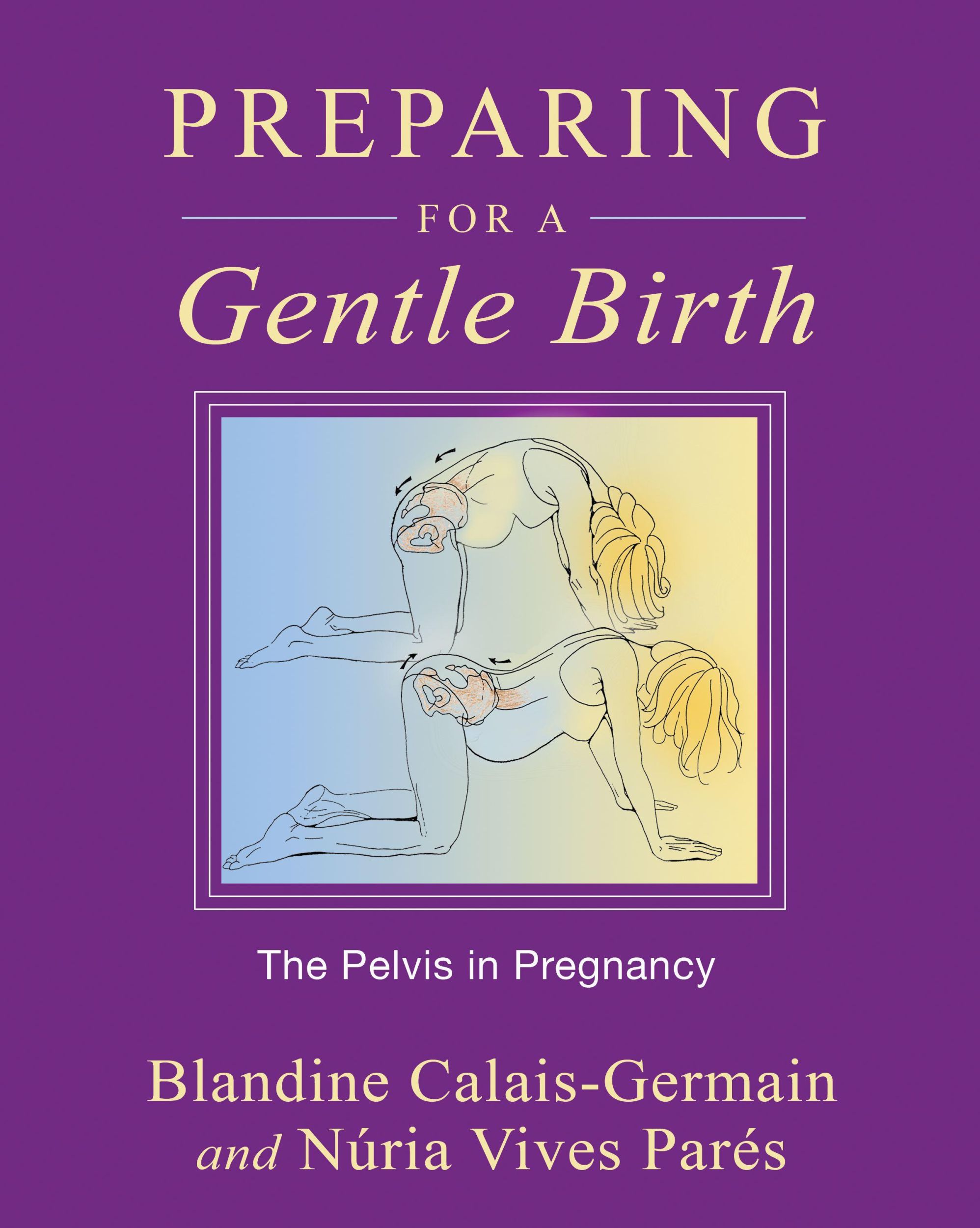 Cover: 9781594773884 | Preparing for a Gentle Birth | The Pelvis in Pregnancy | Taschenbuch