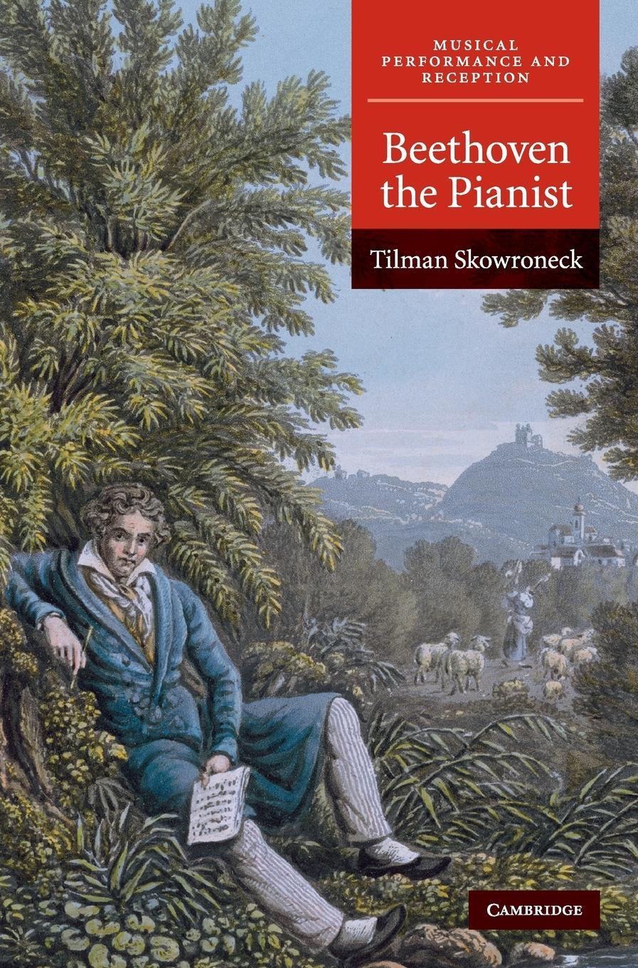 Cover: 9780521119597 | Beethoven the Pianist | Tilman Skowroneck | Buch | Englisch | 2015