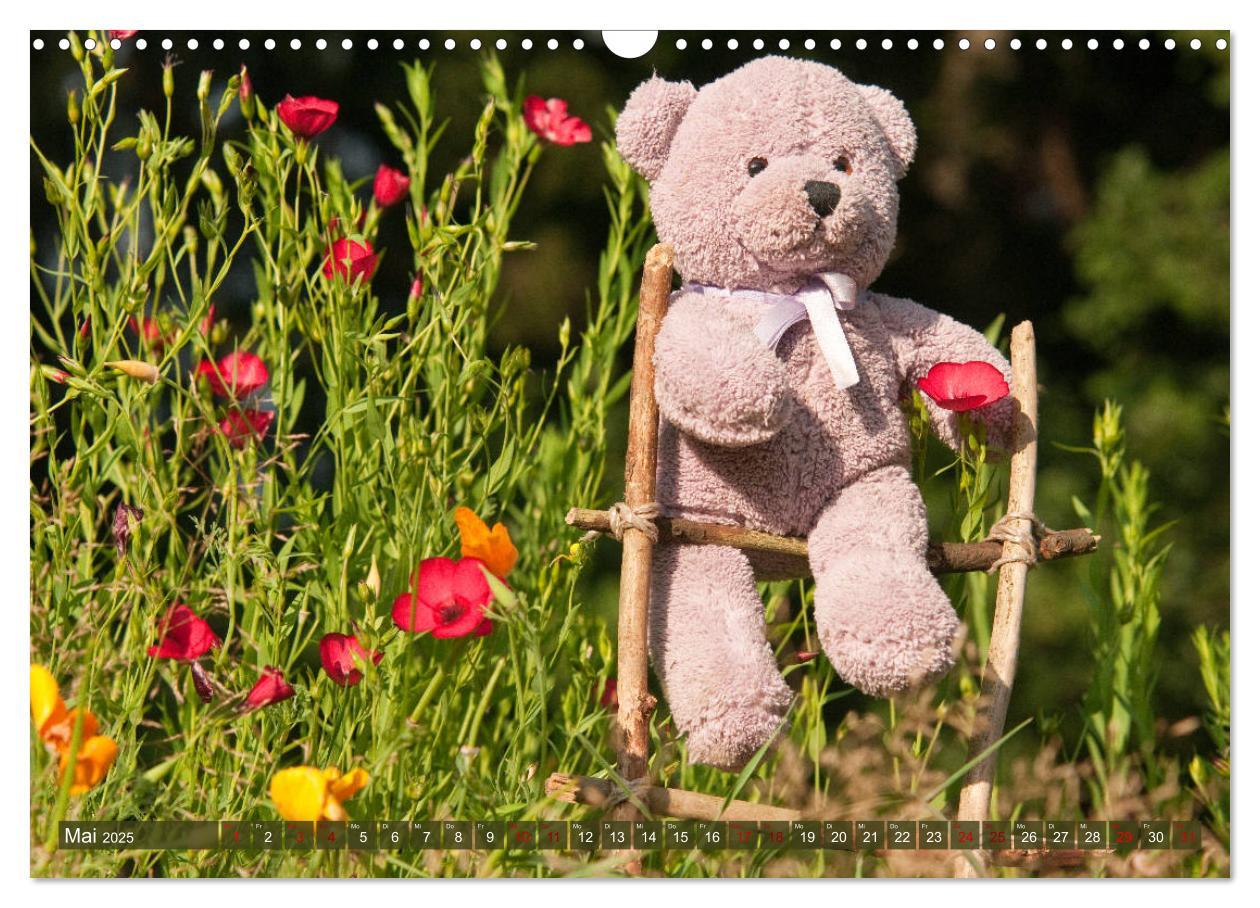 Bild: 9783435411832 | Kunterbunte Bärenwelt - Teddys (Wandkalender 2025 DIN A3 quer),...