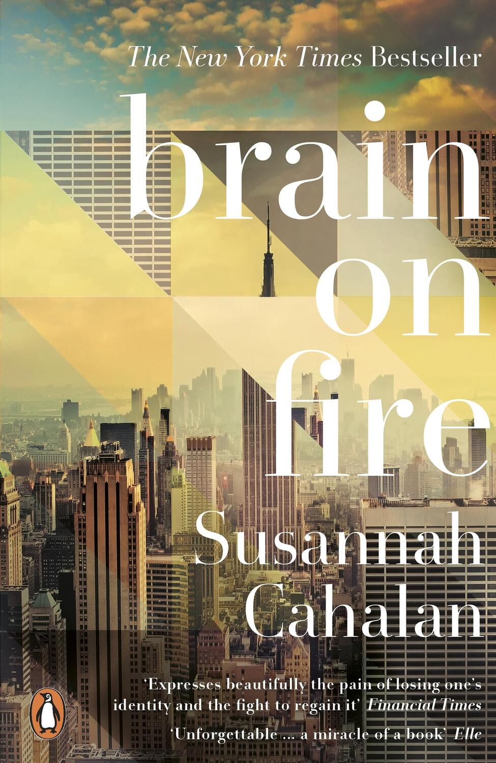 Cover: 9780141975344 | Brain On Fire: My Month of Madness | Susannah Cahalan | Taschenbuch