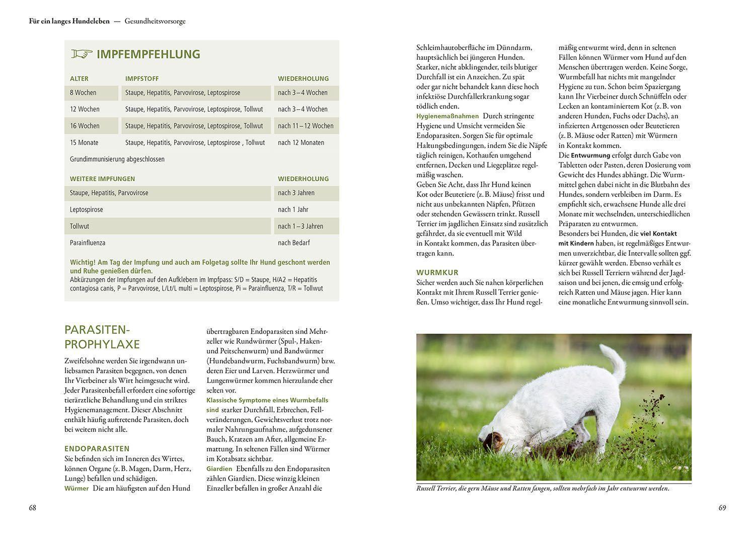 Bild: 9783440149744 | Parson und Jack Russell Terrier | Petra Hagemeier | Taschenbuch | 2022